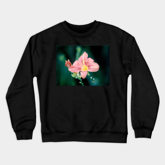 Daylily (Hemerocallis) Crewneck Sweatshirt by acespace